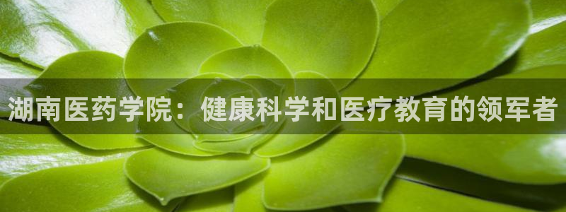 九游会官网登录首页|首页