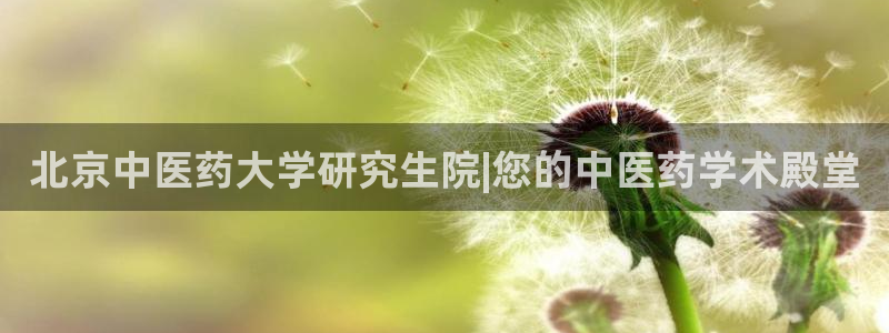 九游会j9官网网站