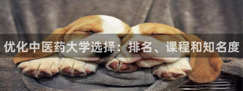 j9九游会永久域名