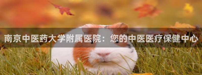 九游会官网ag旧版