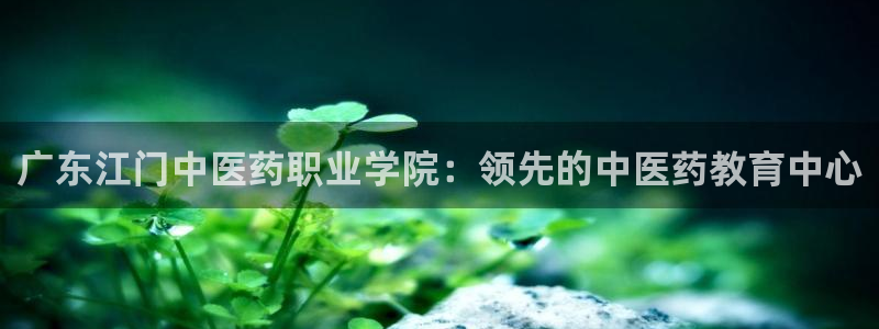 九游会AGapp下载