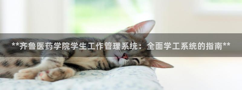 九游会登录网站