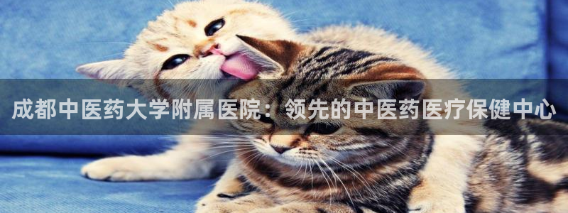 j9九游会app下载