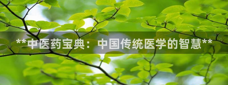 j9363九游会