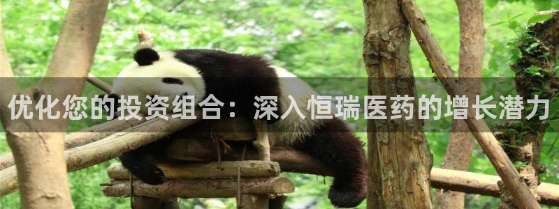 九游会在