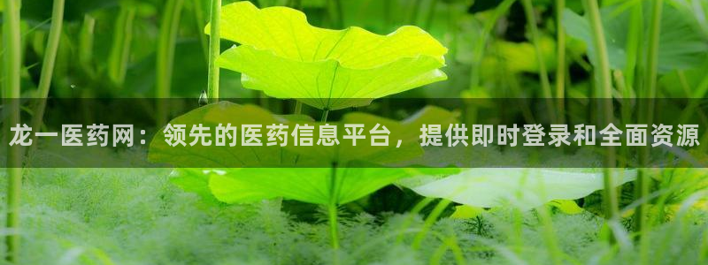 九游会ag官方平台