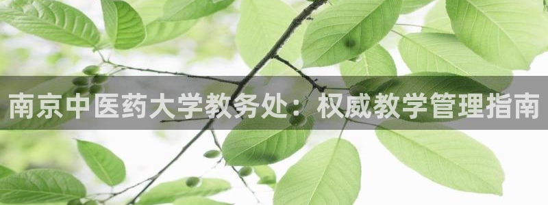 九游会平台j9