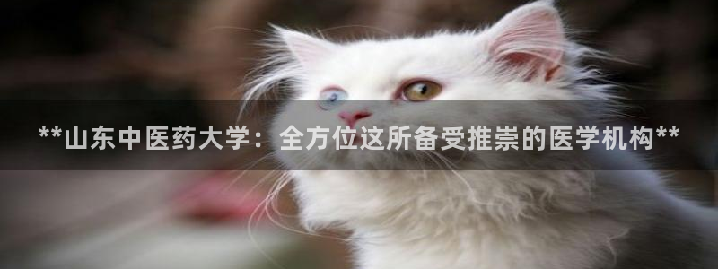 九游会j9