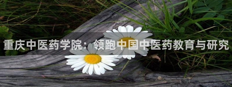 J9九游会网站