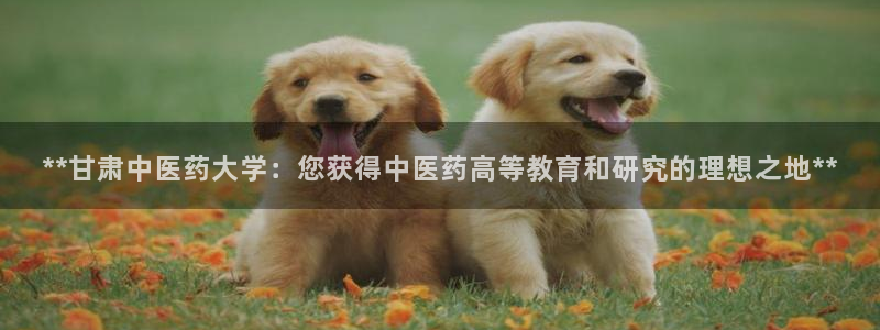 九游会官方app