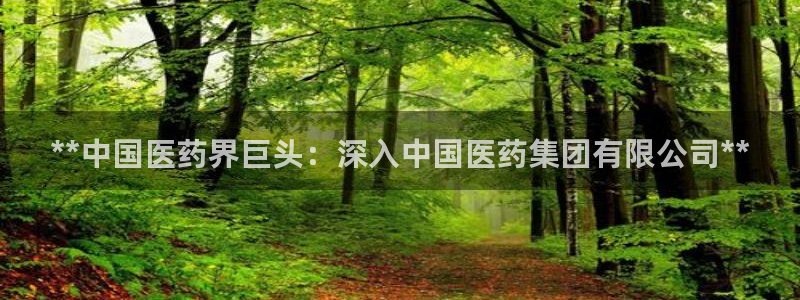 九游会AG登录