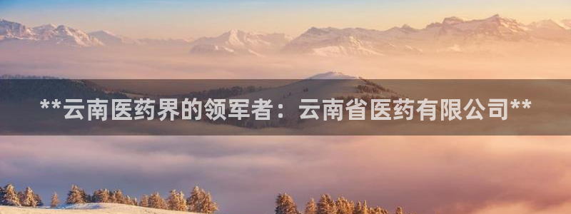 j9九游会app下载