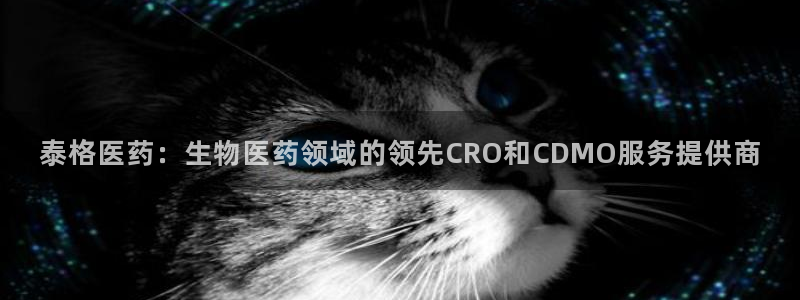 九游会集团币圈
