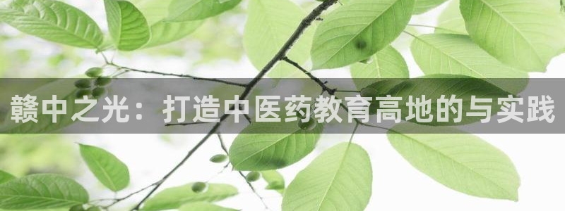 ag九游会官网网址