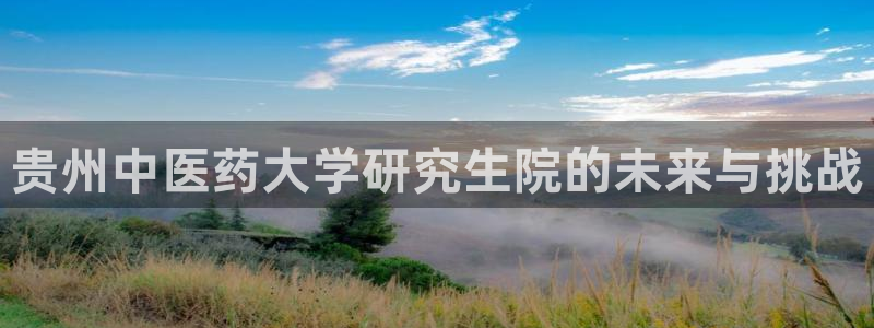 九游会vip