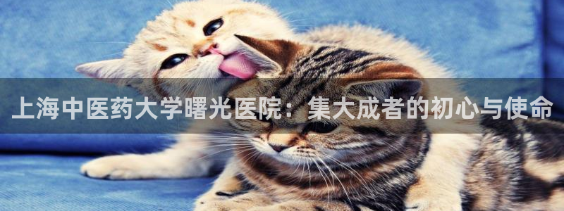 ag九游会老哥